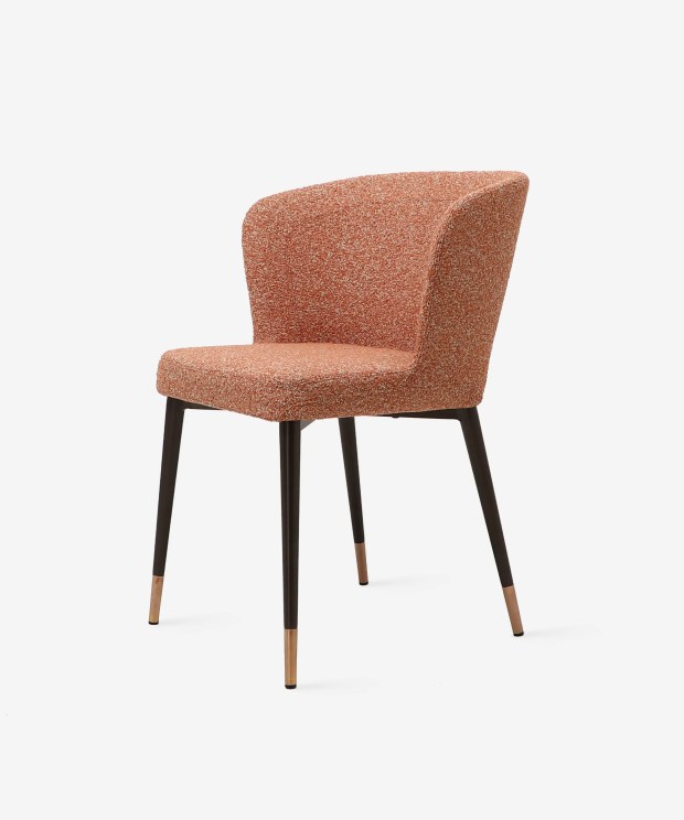 Minimalist dining chair